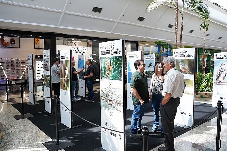 Aves e seus Cantos leva beleza, sons e curiosidades da natureza ao Riopreto Shopping