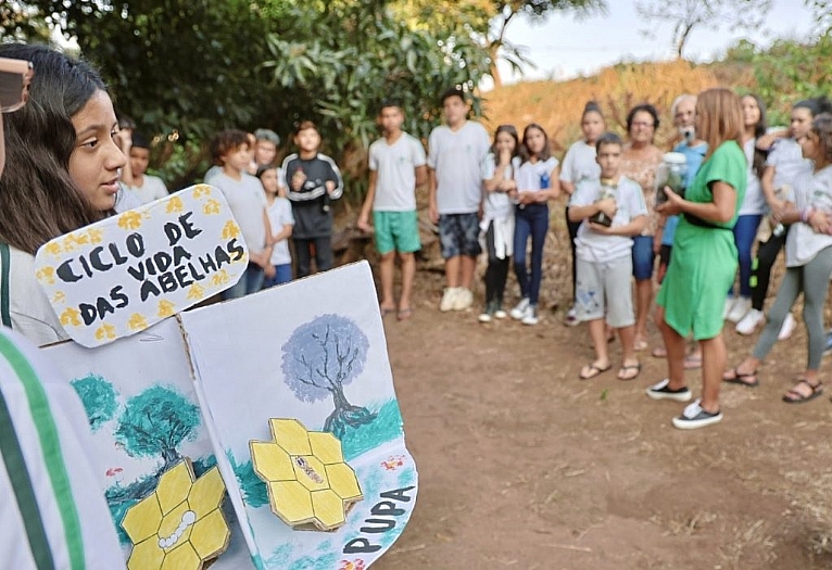 Projeto de alunos da rede estadual sobre proteção às abelhas vira lei em Rio Preto