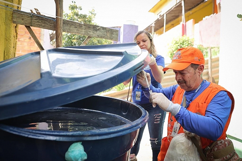 Quem teve dengue uma vez pode contrair novamente? Esclareça suas dúvidas sobre a doença